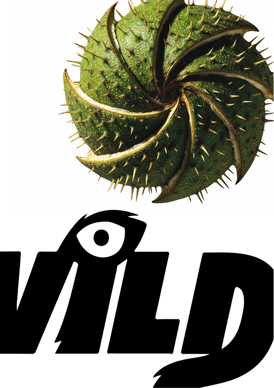 VILD poster design.